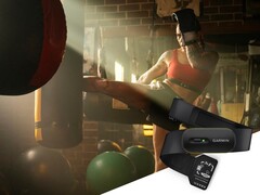 Le HRM 600 est une nouvelle ceinture thoracique qui peut également être utilisée seule. (Source de l&#039;image : Garmin)
