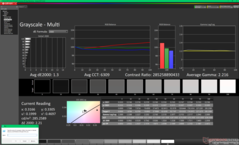 Niveaux de gris avant étalonnage (P3)