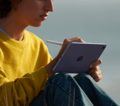 Certains propriétaires d&#039;iPad mini 6 se plaignent désormais d&#039;une distorsion et d&#039;une décoloration de l&#039;écran. (Image : Apple)