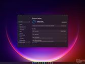 Le programme Windows 11 Insider Preview n'a pas encore atteint le canal Release Preview. (Image source : Microsoft) 