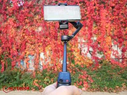 bâton de selfie 205 mm