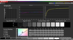 Niveaux de gris CalMAN calibrés (profil TrueColor : Display-P3)