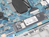 Le SSD et le CPU ont un refroidissement limité, probablement en raison du poids très faible de l'ordinateur portable Dynabook (Image source : Notebookcheck)