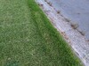 Tentative d'abattage sur une pente