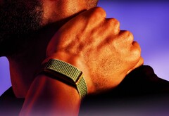 Garmin devrait bientôt lancer une alternative au Polar Loop présenté ici.