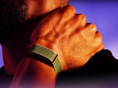 Garmin devrait bientôt lancer une alternative au Polar Loop présenté ici.