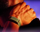 Garmin devrait bientôt lancer une alternative au Polar Loop présenté ici.