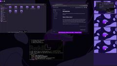 Rhino Linux 2026.1 supporte Lomiri sur desktop et mobile