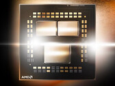 Le Ryzen 5 5600X a de sérieux problèmes. (Source de l'image : AMD)