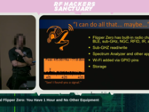 Grey Fox présente à DEFCON 33 (Image Source : RF Hackers Sanctuary)