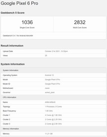 Pixel 6 Pro. (Image source : Geekbench)