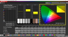 CalMAN ColorChecker (profil : sRGB, espace couleur cible : sRGB)