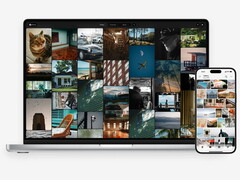 PC et smartphone avec ZimaOS Photos