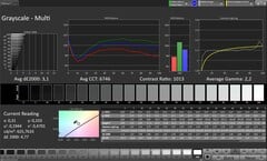 Niveaux de gris (profil : Original Pro, espace couleur cible : sRGB)