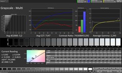 Niveaux de gris (mode de couleur : naturel, espace de couleur cible : sRGB)