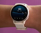 La smartwatch Garmin vivoactive 6 (photo) reçoit la fonction "état de santé" en version bêta. (Source de l'image : Garmin)