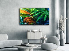 Le téléviseur MG7C15 de Thomson (photo) est arrivé en Europe. (Source de l&#039;image : Thomson)