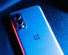 OnePlus remplace l'Effaceur magique par un Effaceur AI plus perfectionné. (Image : Vimal Krishnattri)