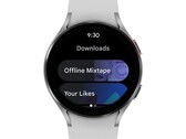 Google continue de laisser tomber la balle avec Wear OS. (Image source : Google)