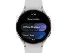 Google continue de laisser tomber la balle avec Wear OS. (Image source : Google)