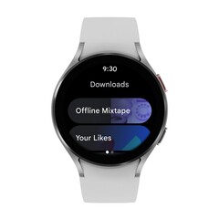 Google continue de laisser tomber la balle avec Wear OS. (Image source : Google)