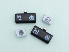 Accessoires Anker pour le Kawasaki Frontale 30th Anniversary