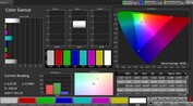 Espace colorimétrique CalMAN sRGB - affichage interne
