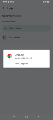 Chrome 137 est préinstallé. (Source de l'image : Sergey Tarasov - Notebookcheck)