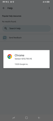 Chrome 137 est préinstallé. (Source de l'image : Sergey Tarasov - Notebookcheck)