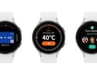 Samsung Wallet, Thermo Check et WhatsApp sur Galaxy Watch (Source : Samsung)