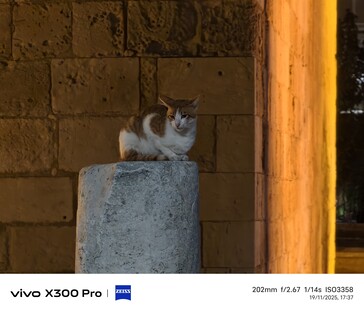 Vivo X300 Pro 200 mm sans téléconvertisseur.