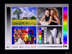 Angles de vision OLED larges