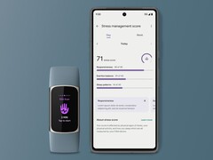 Fitbit a publié une nouvelle page de gestion du stress pour certains utilisateurs. (Source de l'image : Fitbit)