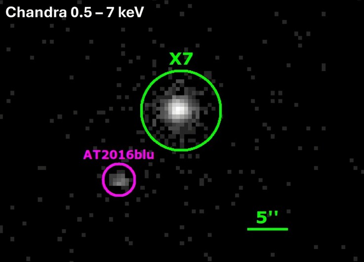 Images compilées à partir de Chandra montrant AT 2016blu et la source de rayons X.