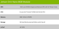 Nano 8GB. (Source de l'image : Nvidia)