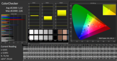 Asus ROG Strix Scar III - CalMAN : ColorChecker (après calibrage).