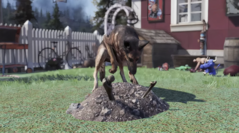 Dans Fallout 76, les animaux domestiques pourront cultiver passivement des ressources pour les joueurs, selon certaines informations. (Source de l'image : Game Rant)