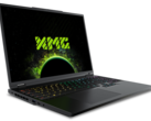 Le saut générationnel entre la RTX 4080 mobile et la RTX 5080 mobile est là où nous l'attendons sans aucune fonction d'upscaling DLSS (Image source : Schenker)
