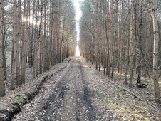 mode HDR