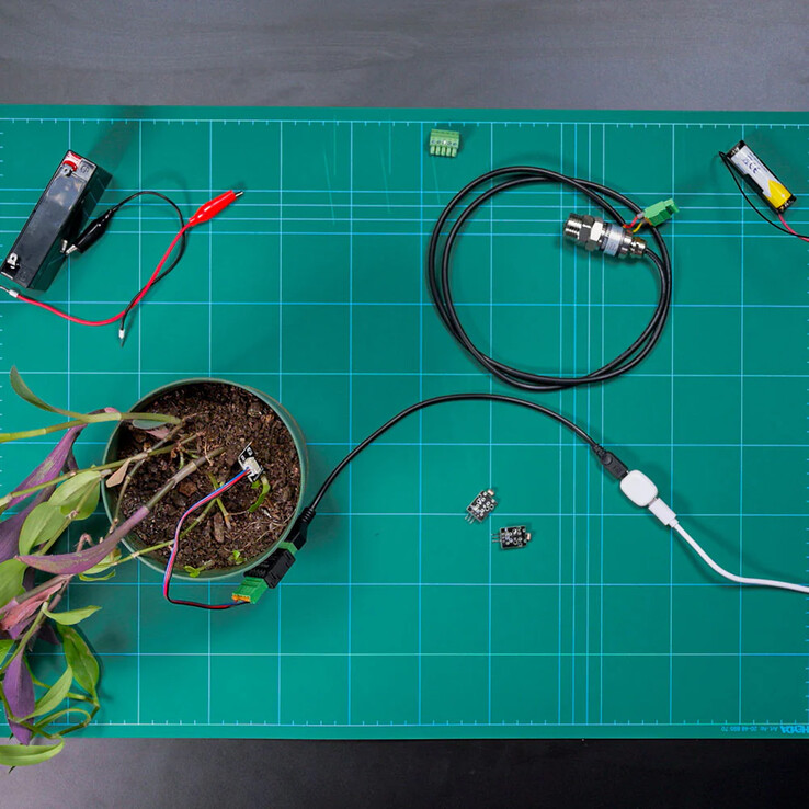 La pilule par Shelly (Source de l'image : Shelly)