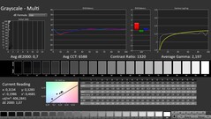 CalMAN : Niveaux de gris (calibrés)