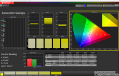Balayages de saturation CalMAN (après étalonnage)
