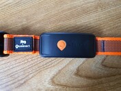 Weenect XT avec collier Julius K9