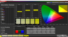 ThinkPad T490s - CalMAN : courbes de saturation (espace colorimétrique cible : sRVB).