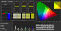 Dell XPS 13 9380 - CalMAN : courbes de saturation.