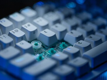 Anneau SAPP monté sur le commutateur.