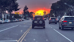 Le mode arme biologique du modèle Y utilisé dans l'évasion de l'incendie de Palisades (Image source : Josef/X)