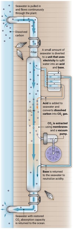 Le stockage ultérieur, en particulier, est une tâche importante. Le filtrage, en revanche, illustré ici de manière schématique, n'est pas du tout difficile. (Image : N.Burgess/Science)