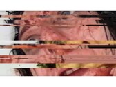 Capture d'écran du jeu d'horreur VILE : Exhumed, représentant une vidéo VHS d'une femme en pause et en panne (Image Source : DreadXP/Final Girl Games)