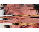 Capture d'écran du jeu d'horreur VILE : Exhumed, représentant une vidéo VHS d'une femme en pause et en panne (Image Source : DreadXP/Final Girl Games)